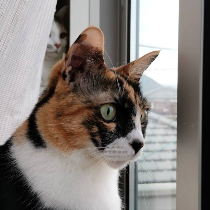 055f533d ca8d 4f3e af19 77e7c563344b 1649736838425