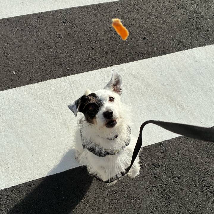 055f71c6 3959 4e07 a337 db4966f3e91e 1760743115932