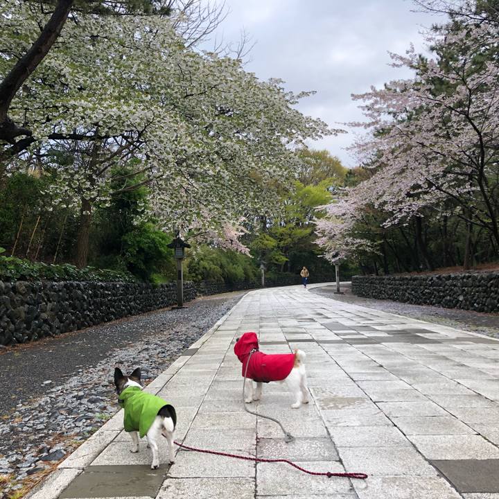 055f7979 1758 4616 85db 5a0c9564f0d3 1555629560375