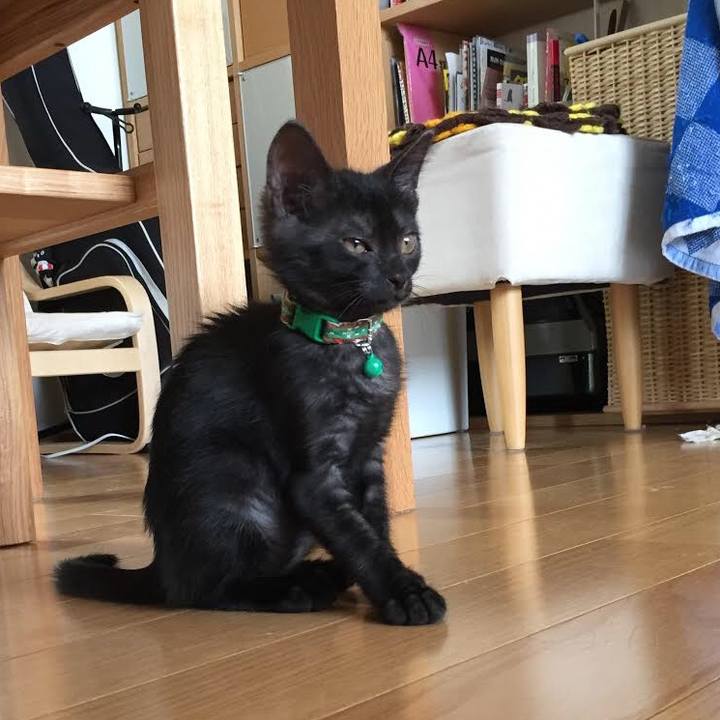 055f8619 7397 4e4f b172 3eecb139cef7 1522301088034