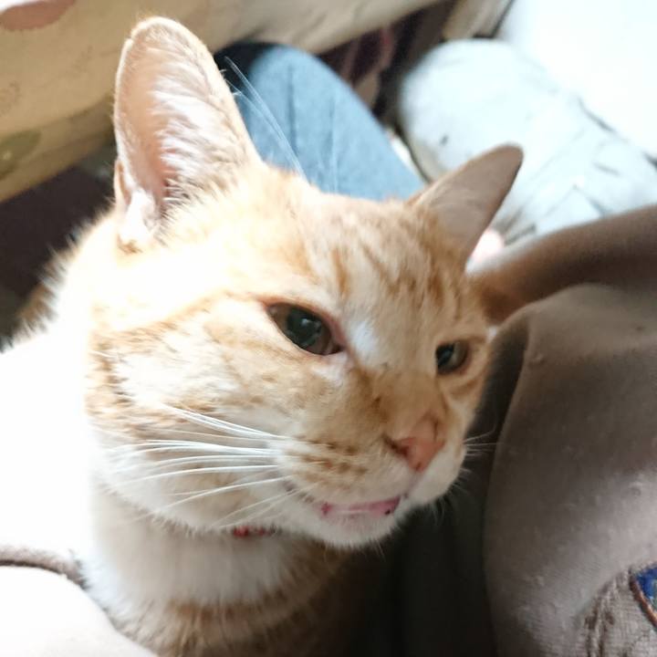 055f8a50 ee5b 43a4 acb7 74ab12f3ccc5 1577741724705