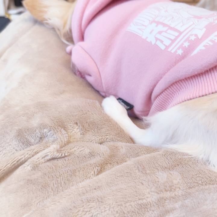 055f9478 6e5c 496d bfd4 33cfcdb44e42 1737979958582