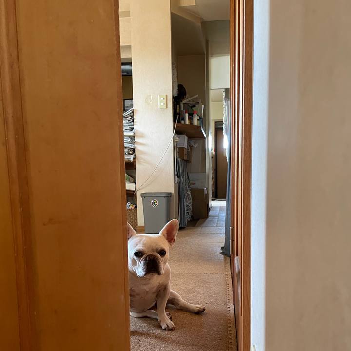 055f9ae0 cebc 442b 89b0 92229b0f63bf 1722755160328