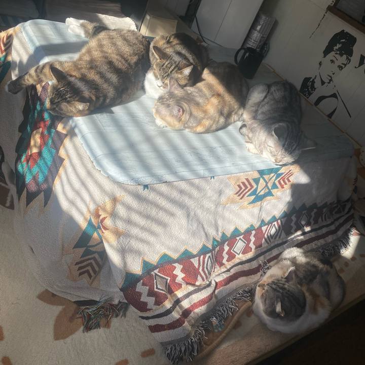 055faadd 9972 4562 8575 7878d0ba2bab 1736558716598