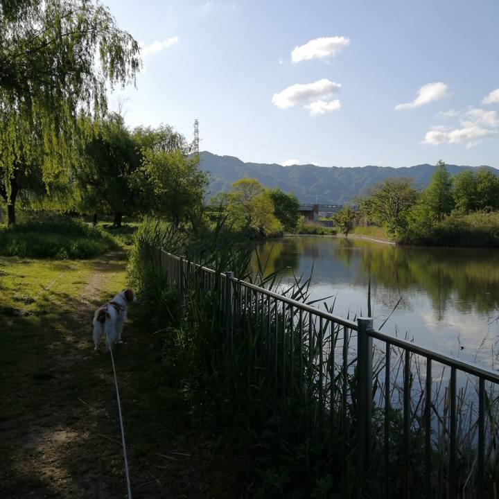 055fbeb4 c372 41be b661 daa7105b5d46 1588817713287