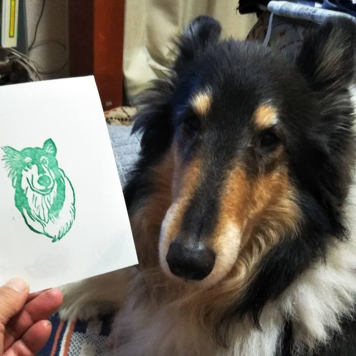 055fc348 3bbd 413e aa66 6ac5cdab5e06 1580126858126