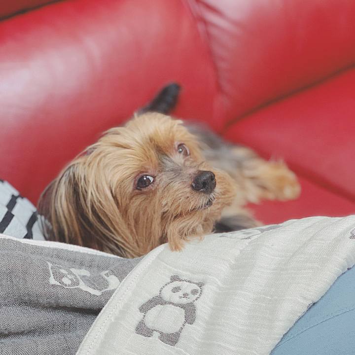 055fd3d6 bcf4 4d9c 835a 6e9c08015eca 1563868367698