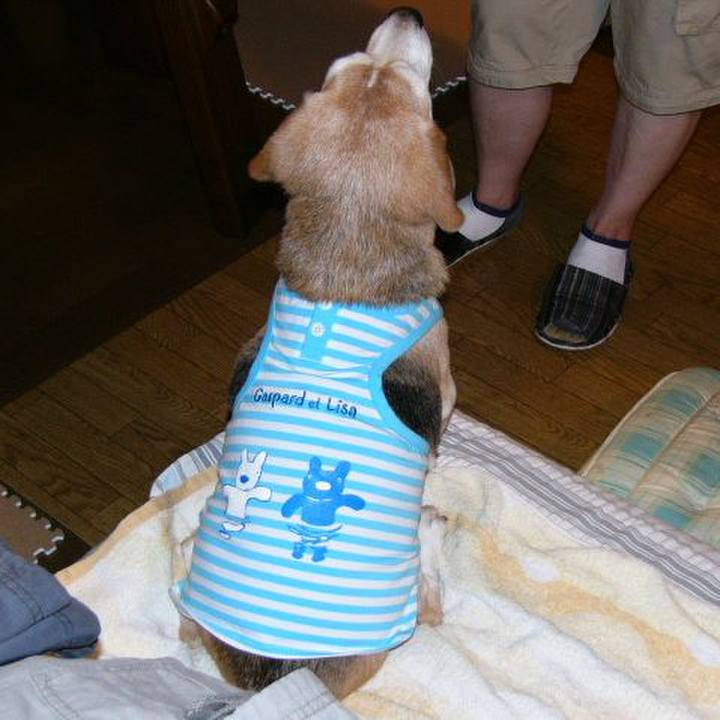 055fd4d1 c967 496c a666 58c105cab29c 1666141038257