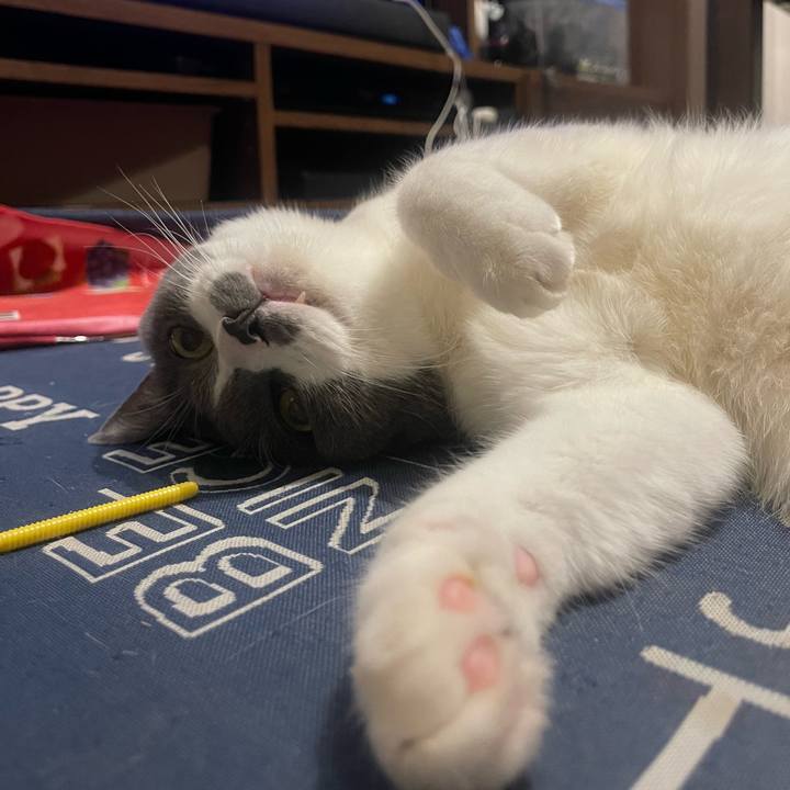 055fe271 d7f9 4dd1 86c1 12f7732bda39 1722772364917