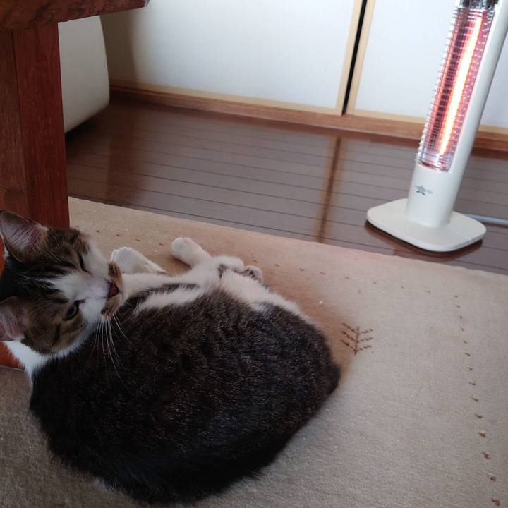 055ffd01 d226 4bc9 9fce a73787db661c 1763344775910