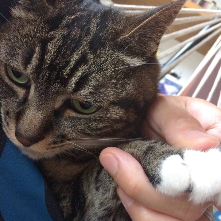 05601b1e bc64 4af7 8199 d02e398ff7cb 1562458455668