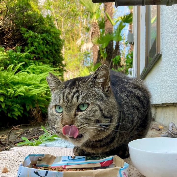 05605cf4 4bd3 4bcd b380 bf498bc9b80a 1651473415655