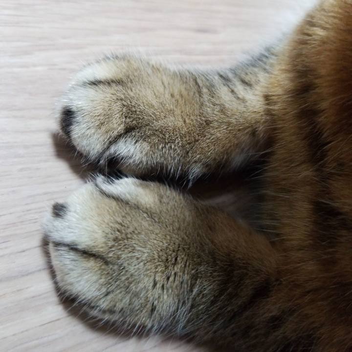 0560ac39 f595 41bf bb91 3b4410168996 1587168024414