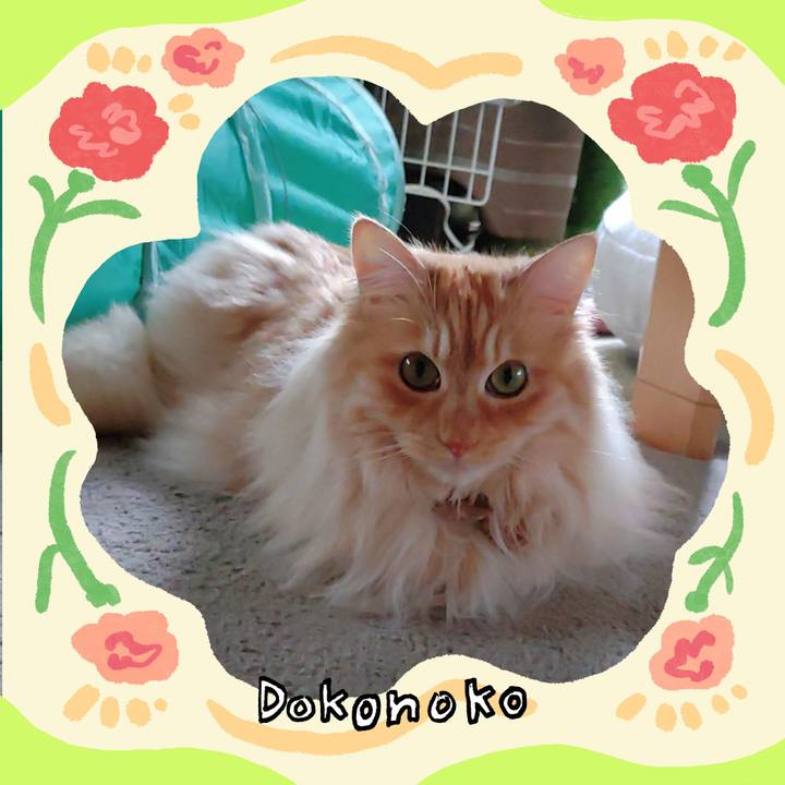 0560b262 6fd0 4430 adc3 ec5a899d5056 1715149459247