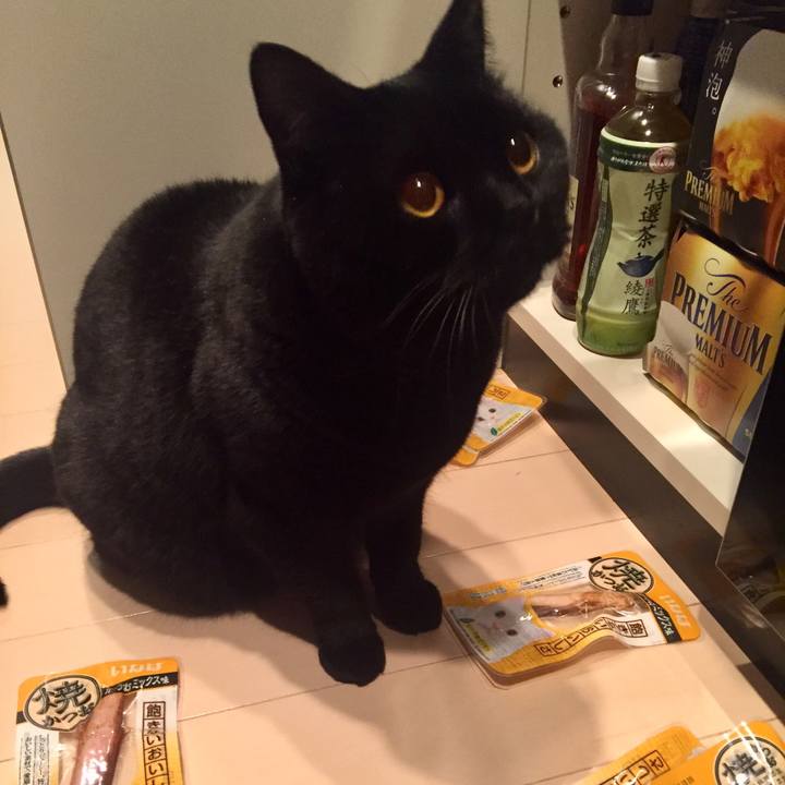 0560bc2f 1b88 4bf0 ac9d a8fe32fa5396 1550053663963