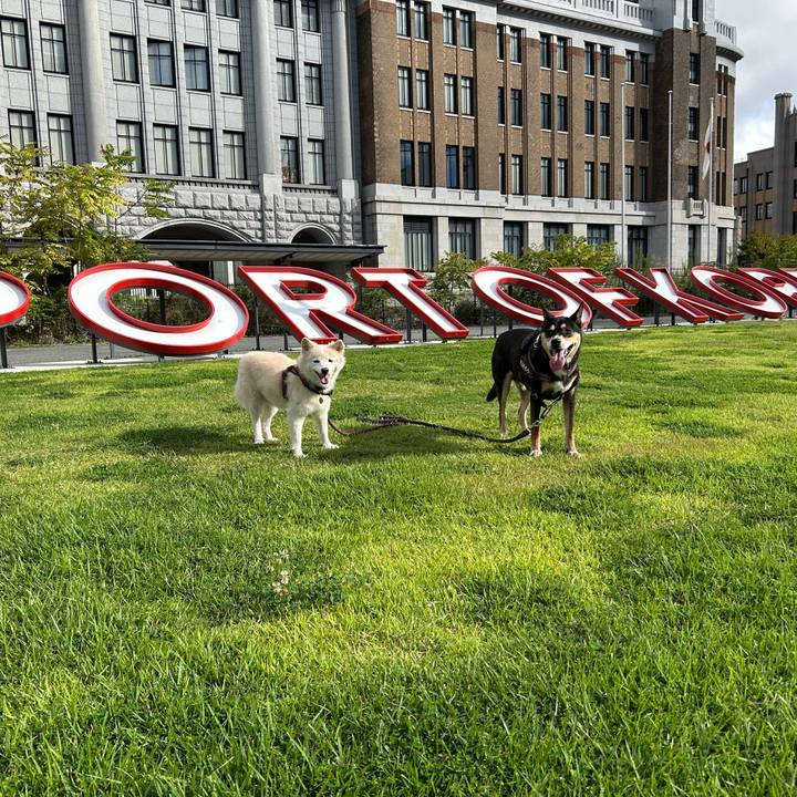 05611aae bd00 4788 99ad 8e86e3bfc555 1760577809886