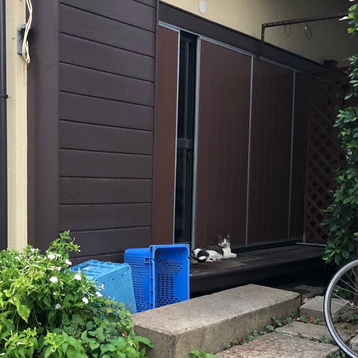 05611f6b 43ff 4745 ae40 4974cc61841c 1536238998011