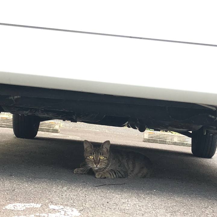 056121fa 2cef 4249 9281 c7ebffe47009 1564850820924