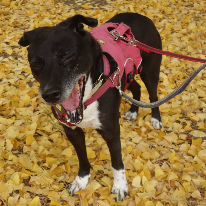 05616e50 d4c7 4cb6 8579 128e93ede39d 1701394612414