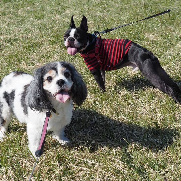 0561875e c401 40dd 8c14 b7e1575c7119 1573356317589