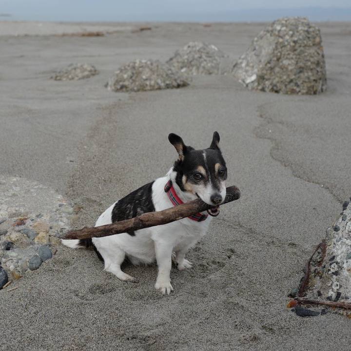 0561a88b fbcd 42bf b810 7ab214f5427f 1569039232522