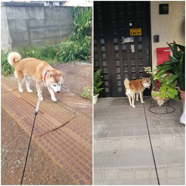 0561c3ae 36b6 4772 ae9d 5ff70d47c374 1752660788239