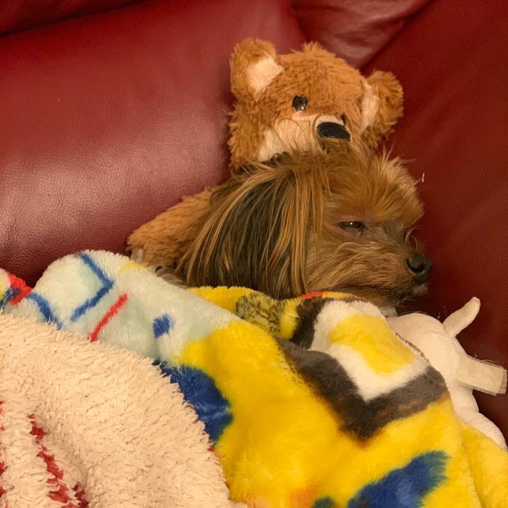 0561d104 41ad 4271 805e 14138a2a1ca8 1575719720534