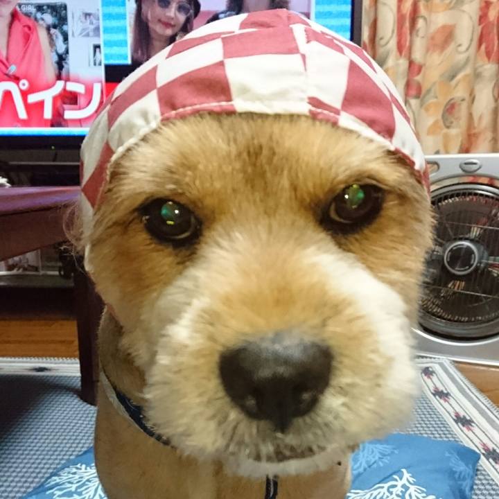 0561d585 fee8 4f9f 84d0 afc259fb56d6 1537449393081