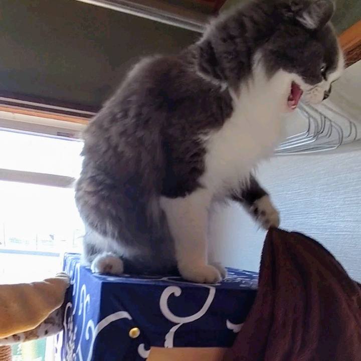 0561e102 e148 4e08 bcd3 6f999ba7e1f4 1704712567334