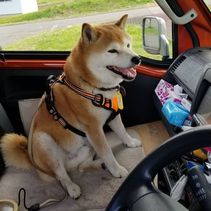 0562346a c966 4f1c 9ce9 eaf691559301 1654413304374