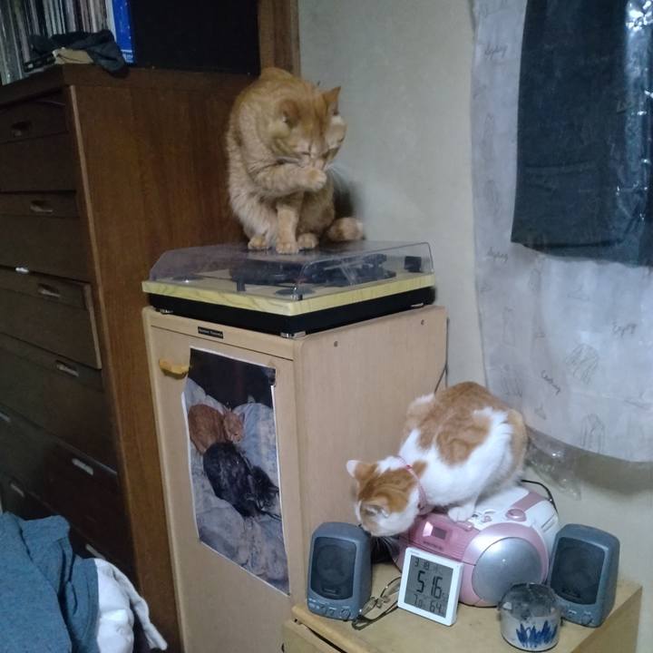 05624bb3 30ff 4a89 b59a 20792b897f3e 1742244349423