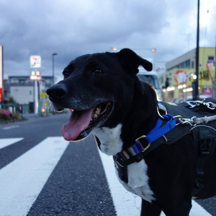 05626de0 3fb0 4663 b10c d0cd8e12a26f 1652526633589