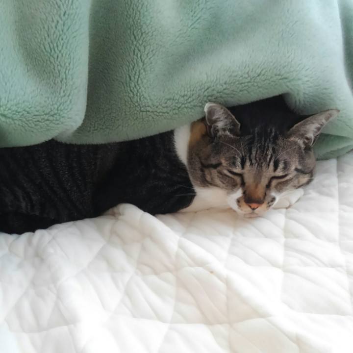 05627242 aa0c 40bc 828c ef74d387fa95 1512961076382