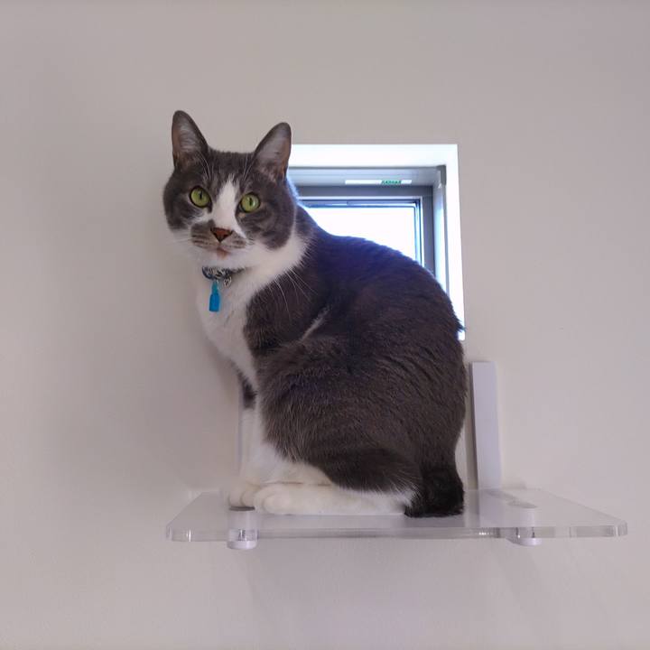 05629276 9341 4dd0 b7c8 de886d363213 1671939733180