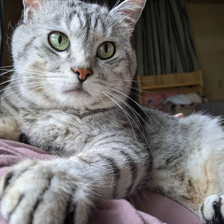 0562b028 bf31 475e 8279 155ffa30fe51 1720997018259