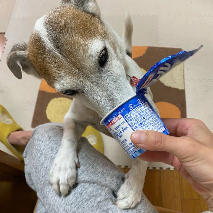 0562c385 17bc 44aa b002 86a46242844b 1606343391362