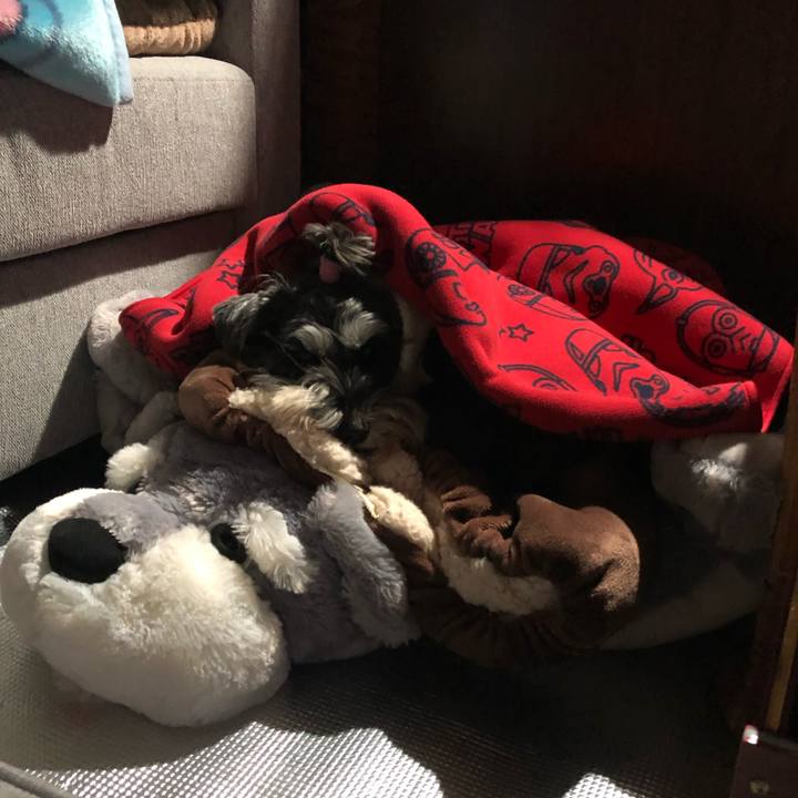 0562e38c 3b2d 4ab6 82af 17722e9a5ae3 1579356402891