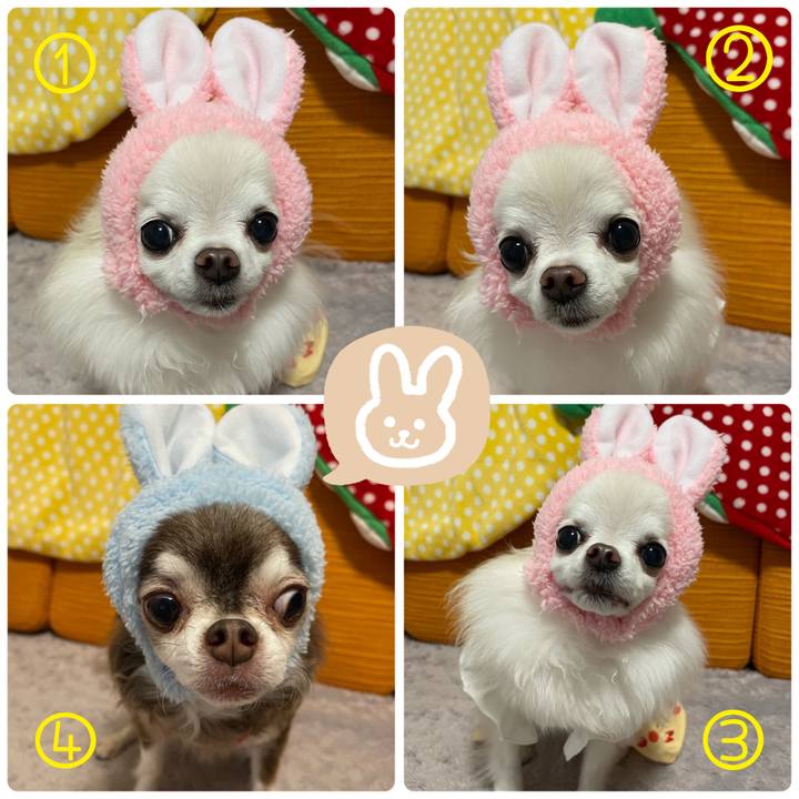 05630e1b fe9c 481a a9fe 3964c59f32c9 1662804209843