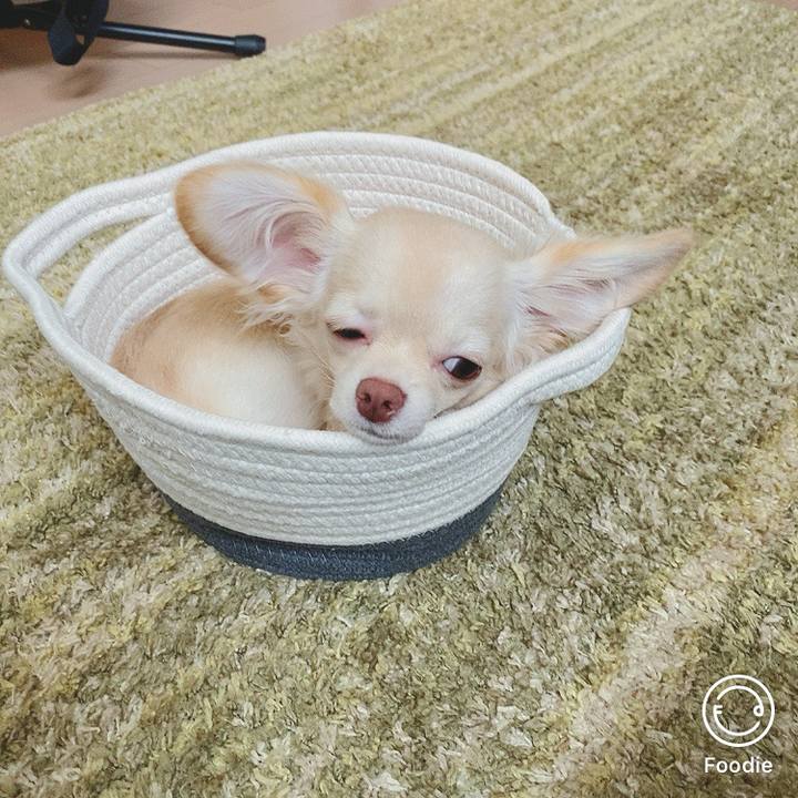 05631f19 2970 4341 b3e1 073c5f1c2e65 1600404672825