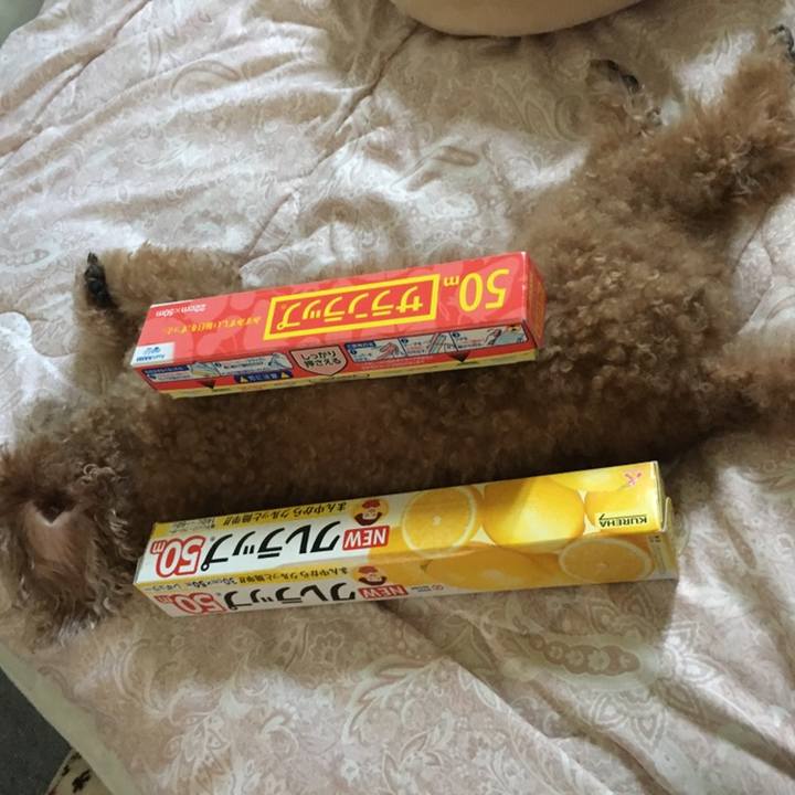 0563abc6 a9ef 4671 9ff0 424fc60ef9a5 1585320488054