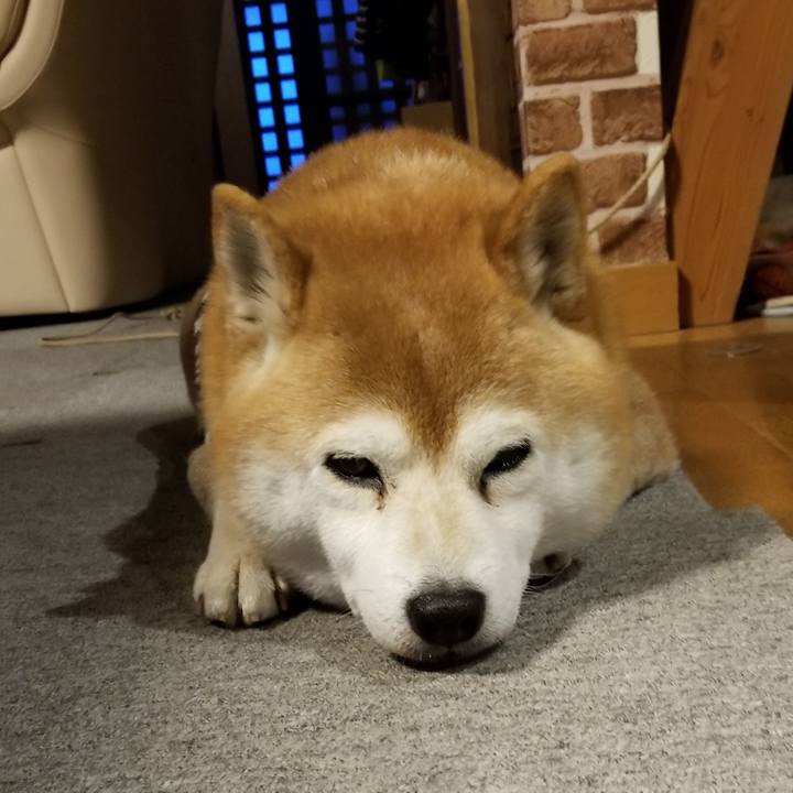 0563cc52 40bd 4444 a0d6 00cded0f732c 1616835839176