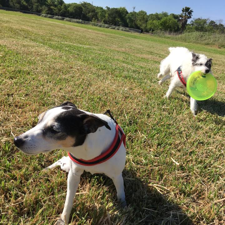 05642879 4106 4e3c b3ec 66ae5738ece6 1554510358790