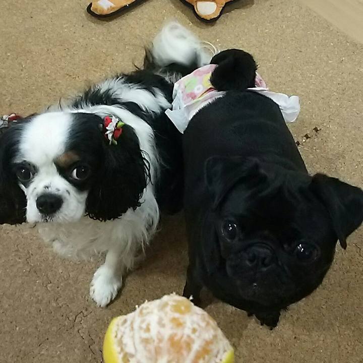 05643631 462f 47e3 9bc3 b1c4e759eefd 1538310856557