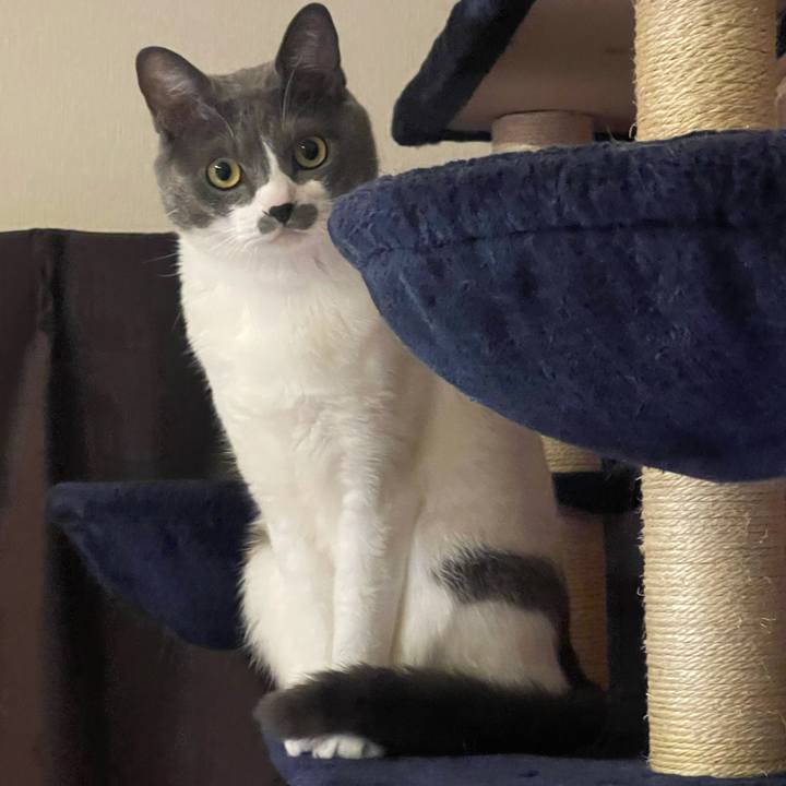 0564376d 7880 4c2a 8f72 a0a29524f194 1635248634630