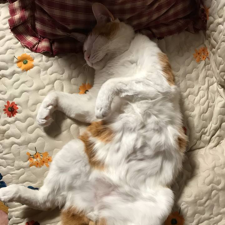 05647d58 62e2 4da2 be76 b1e61876094d 1521198854816