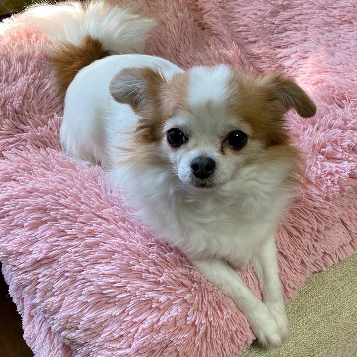 0564c3a8 40b1 4dd9 8209 54bf07eadcd5 1576282824020