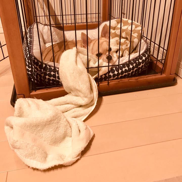 0564cbbd 1185 41fe 9531 af2a27aec43f 1562156331520