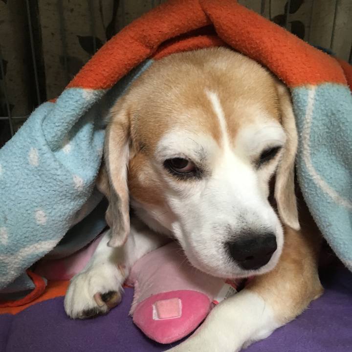 0564f9be f2e4 40d7 9743 807c825958f3 1543730292233