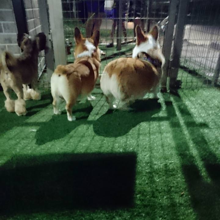 05650cbd 0fe4 4a7b 919c ef2e2696b538 1593178489818