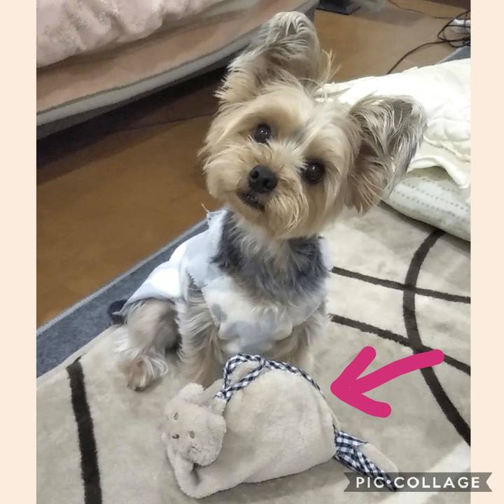 0565471c c368 48b2 a809 3df6ca99720d 1583753680855